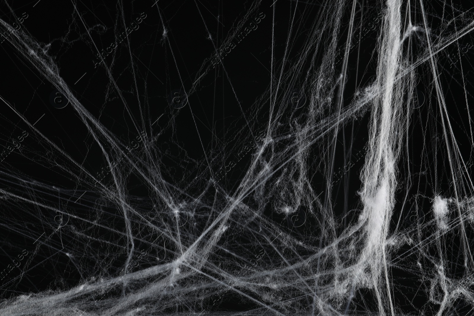 Photo of Creepy white cobweb on black background, closeup