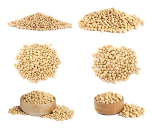 Set with soya beans on white background 