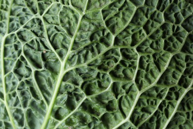 Photo of Savoy cabbage leaf as background, closeup view