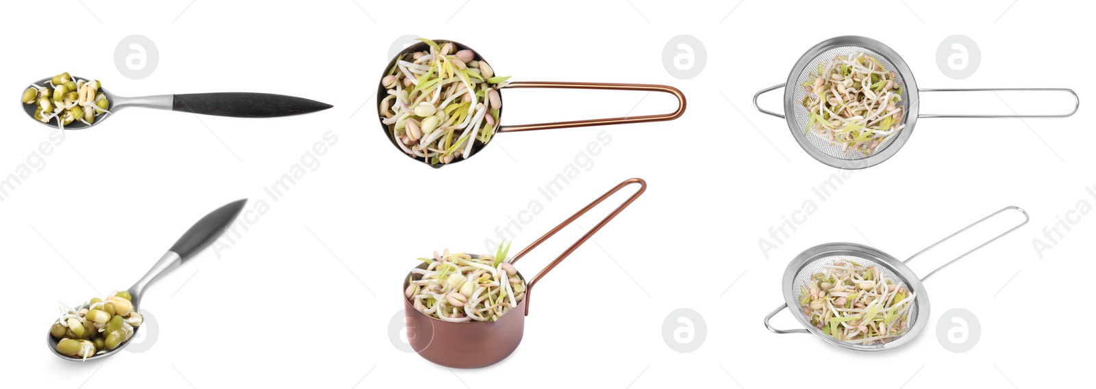 Image of Many mung bean sprouts on white background, top and side views