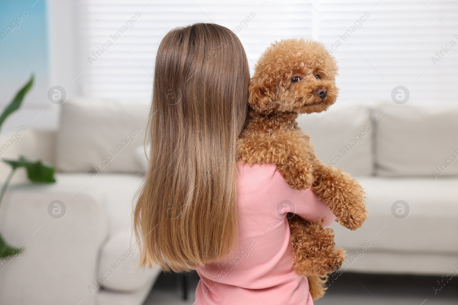 Photo of Little child with cute puppy at home, back view. Lovely pet