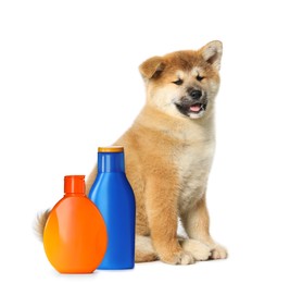 Image of Cute Akita Inu puppy and bottles of dog shampoo on white background