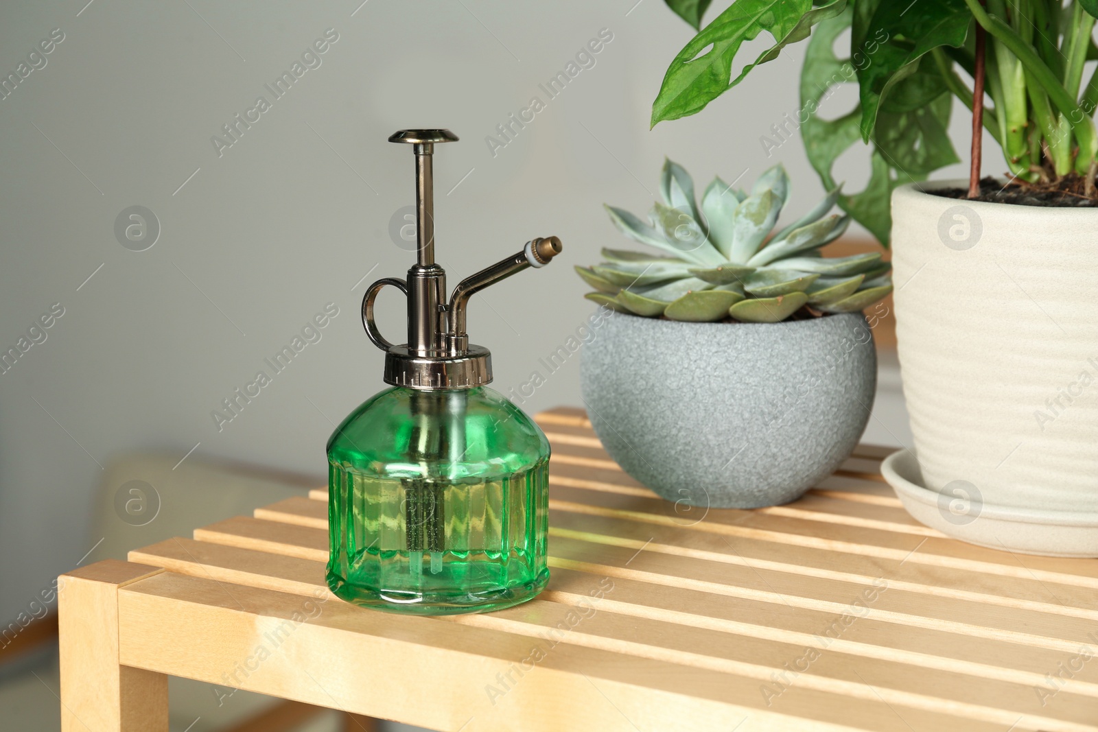 Photo of Mister and potted houseplants on wooden table