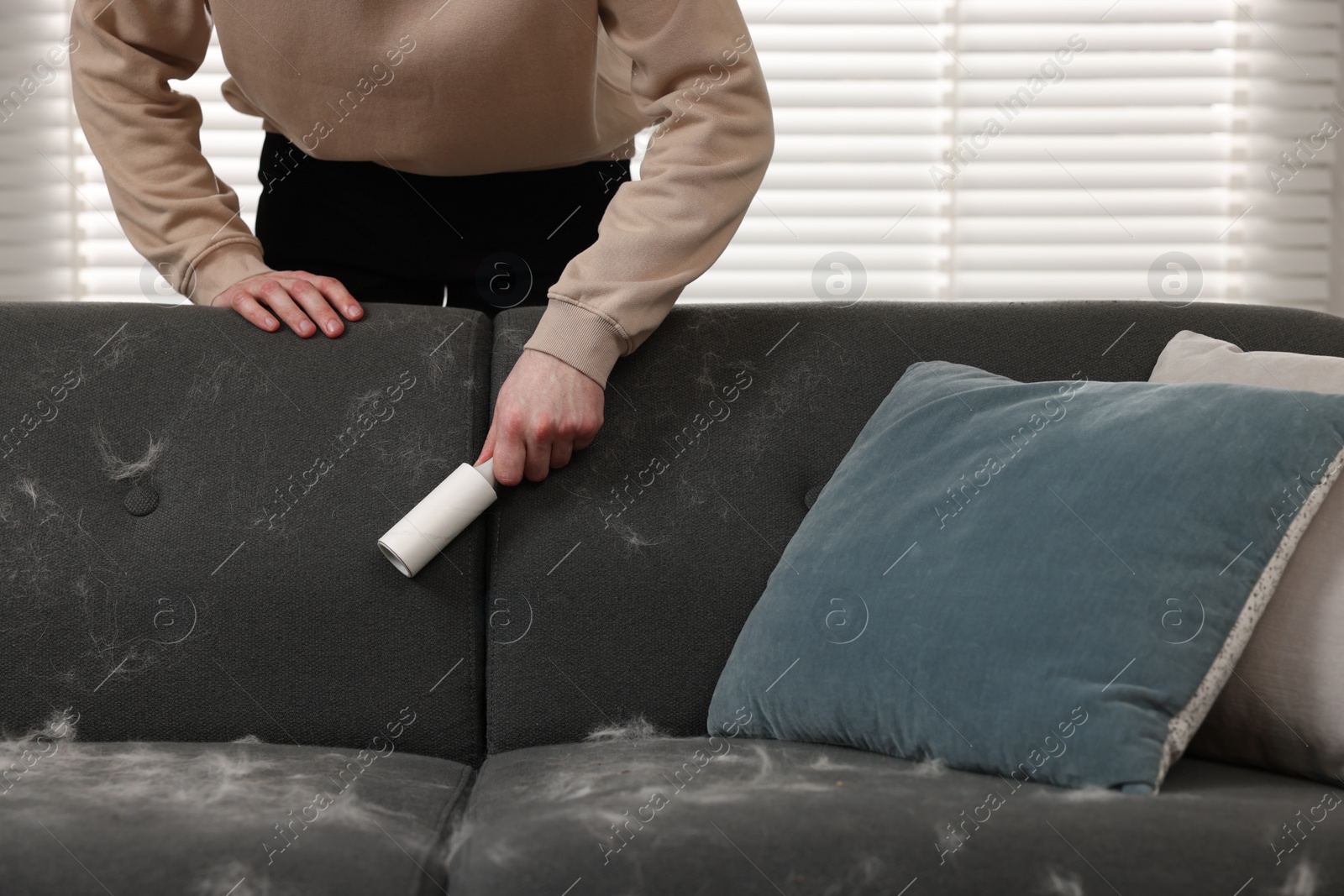 Photo of Pet shedding. Man with lint roller removing dog's hair from sofa at home, closeup