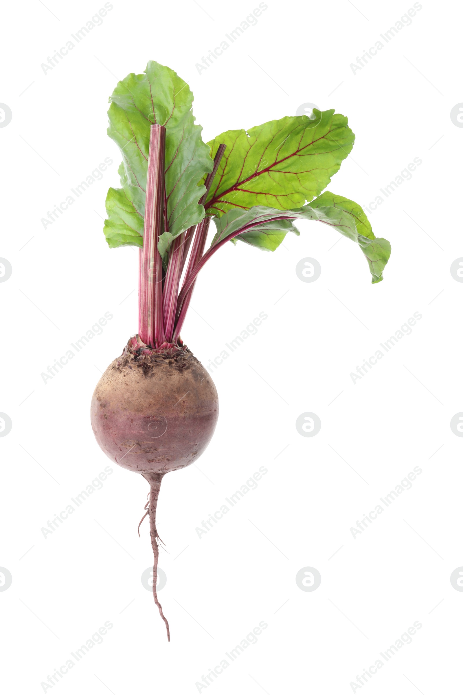 Photo of Whole fresh red beet with leaves isolated on white