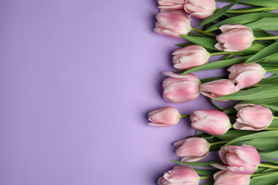 Beautiful pink spring tulips on lilac background, flat lay. Space for text