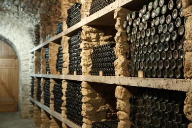 Many wine bottles on shelves in cellar