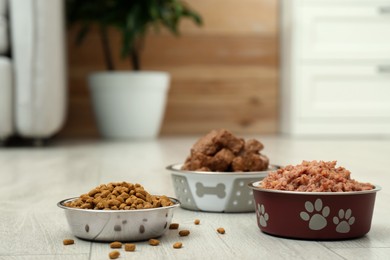 Photo of Different pet food in feeding bowls on floor indoors, space for text