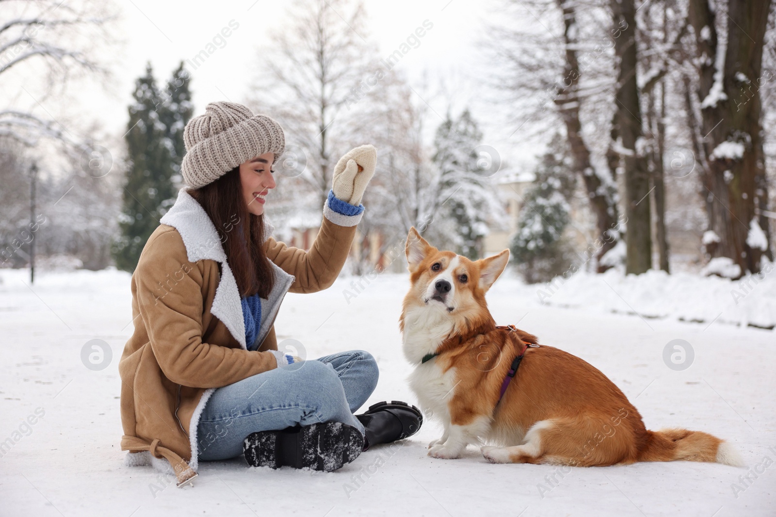 Photo of Woman with adorable Pembroke Welsh Corgi dog in snowy park