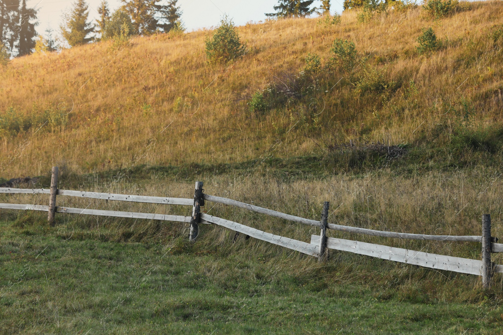 Photo of Old wooden fence and green grass outdoors