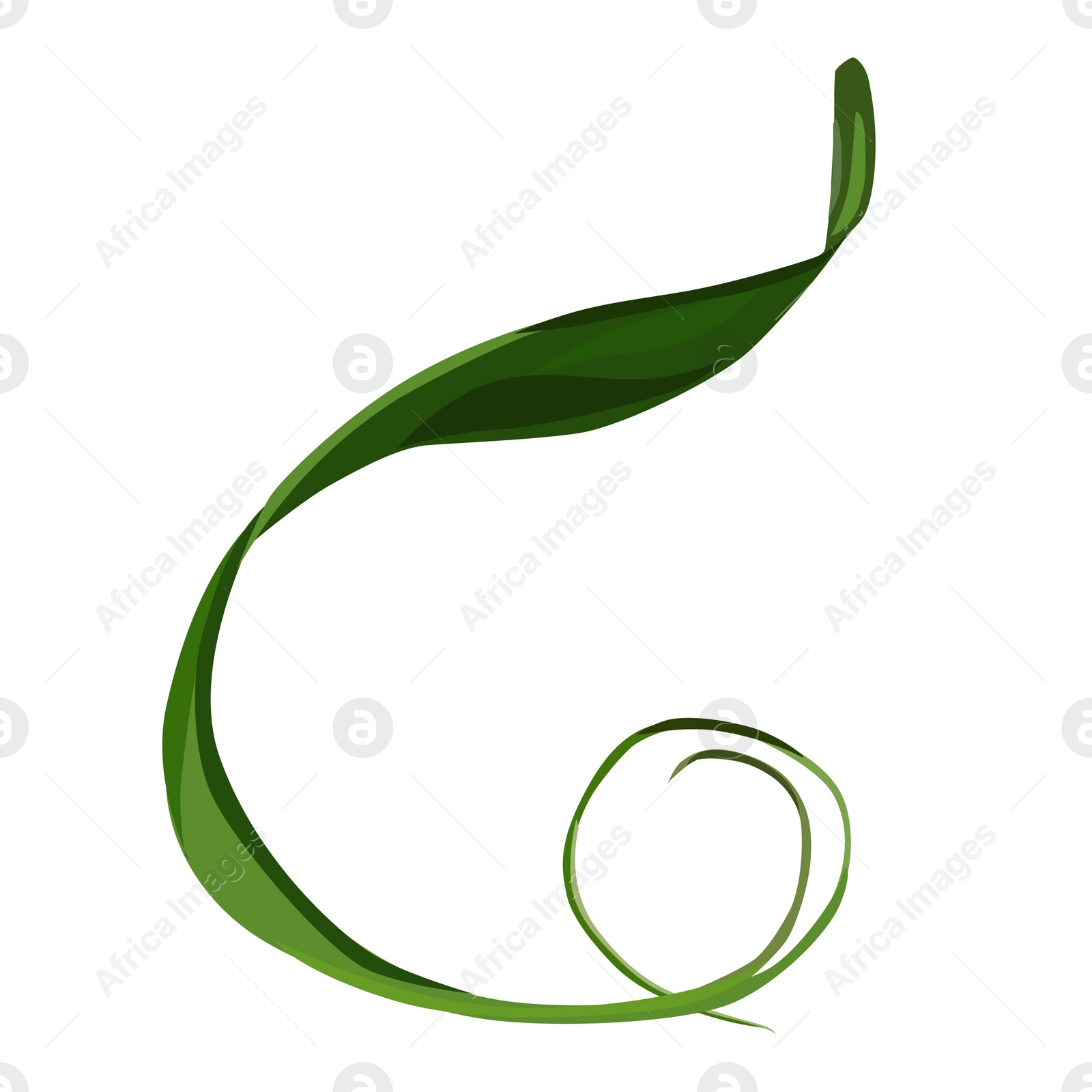 Illustration of Beautiful green leaf illustration on white background. Stylish design
