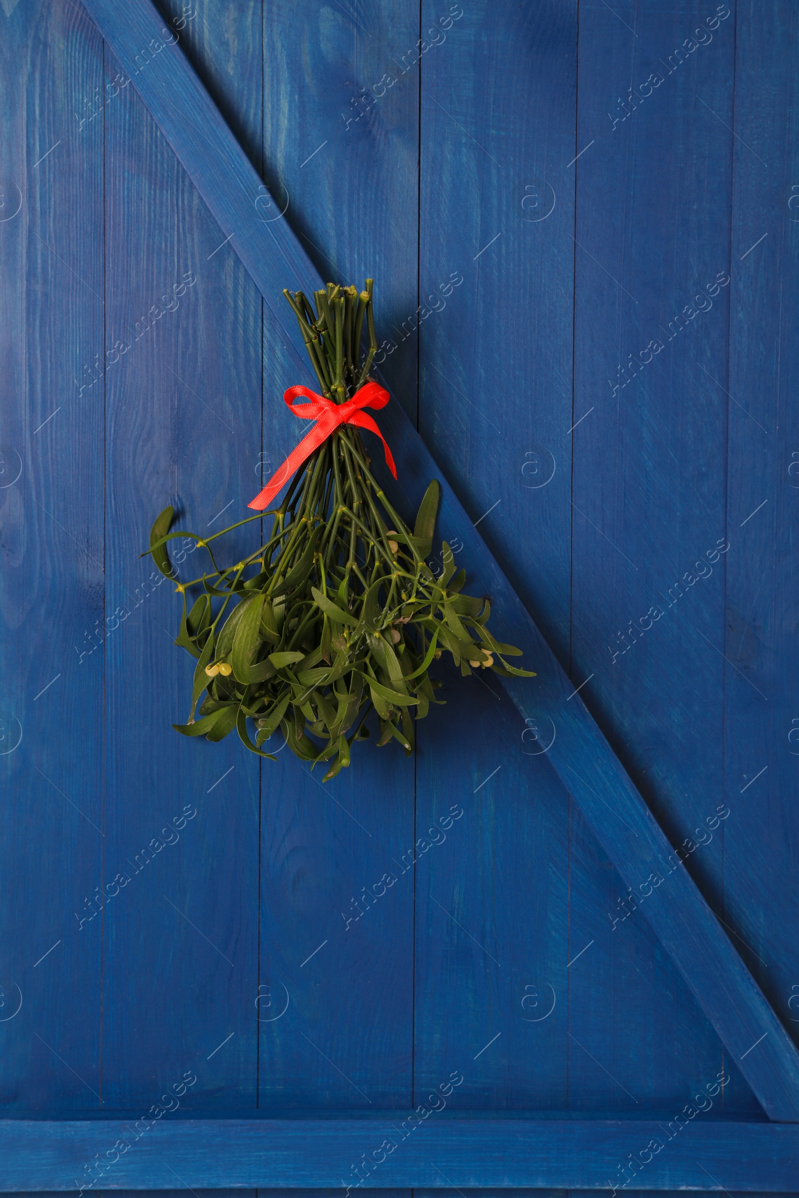 Photo of Mistletoe bunch with red bow hanging on blue wooden wall. Traditional Christmas decor