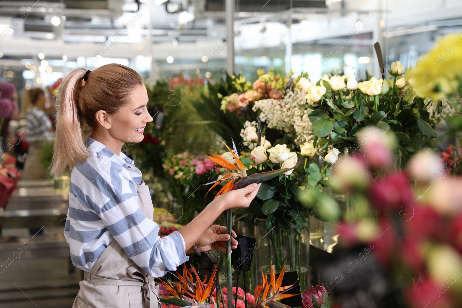 Photo of Beautiful female florist working in flower shop