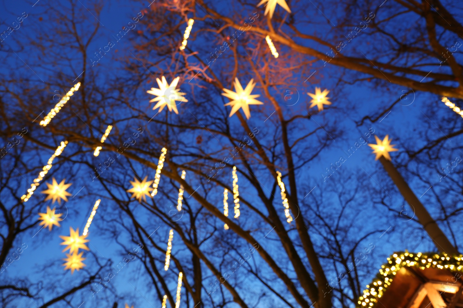 Photo of Trees decorated with beautiful Christmas lights outdoors in evening, blurred and low angle view