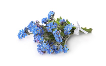 Bouquet of beautiful blue Forget-me-not flowers on white background