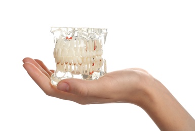 Photo of Woman holding educational model of oral cavity with teeth on white background