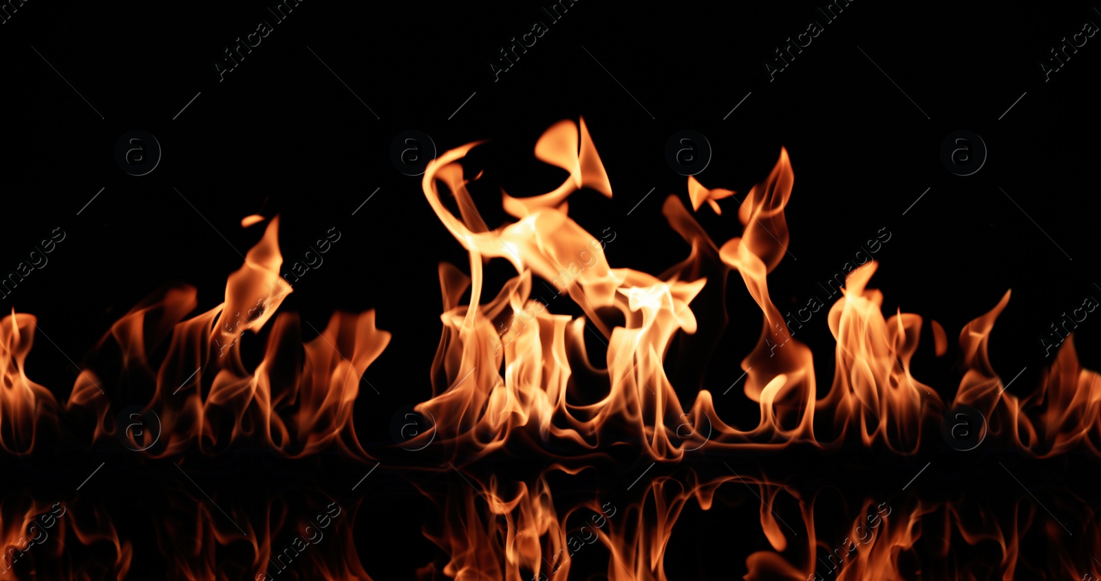 Photo of Beautiful bright fire flames on black background