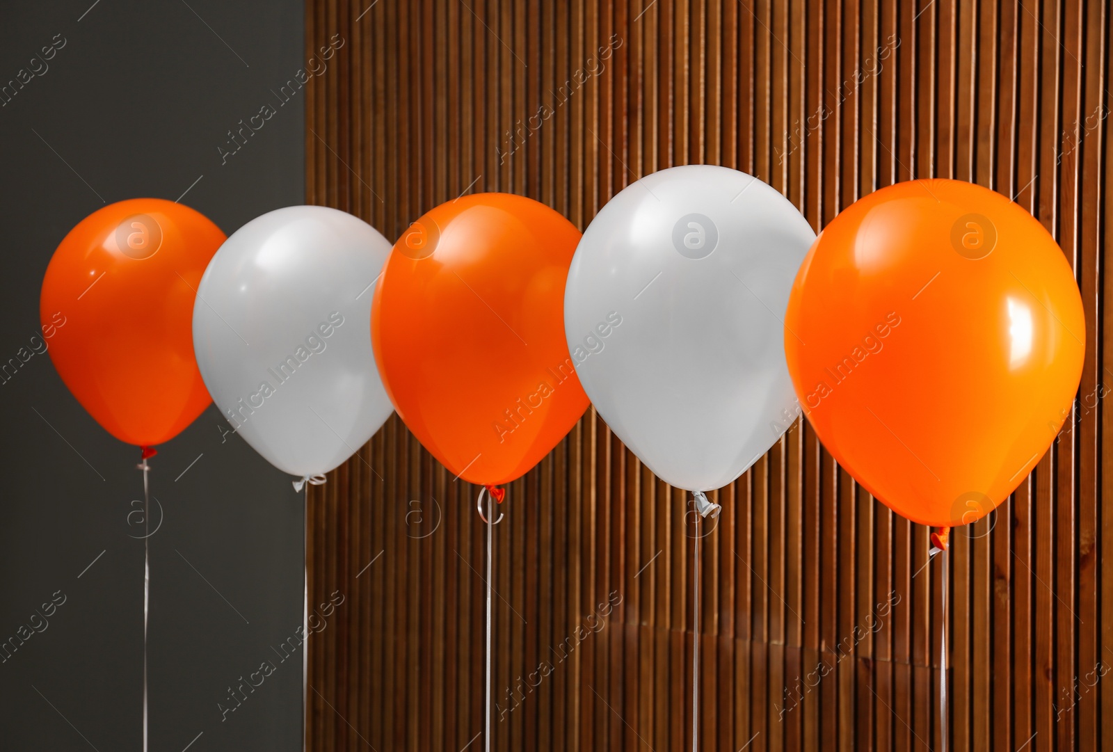 Photo of Colorful balloons against wooden wall. Halloween party