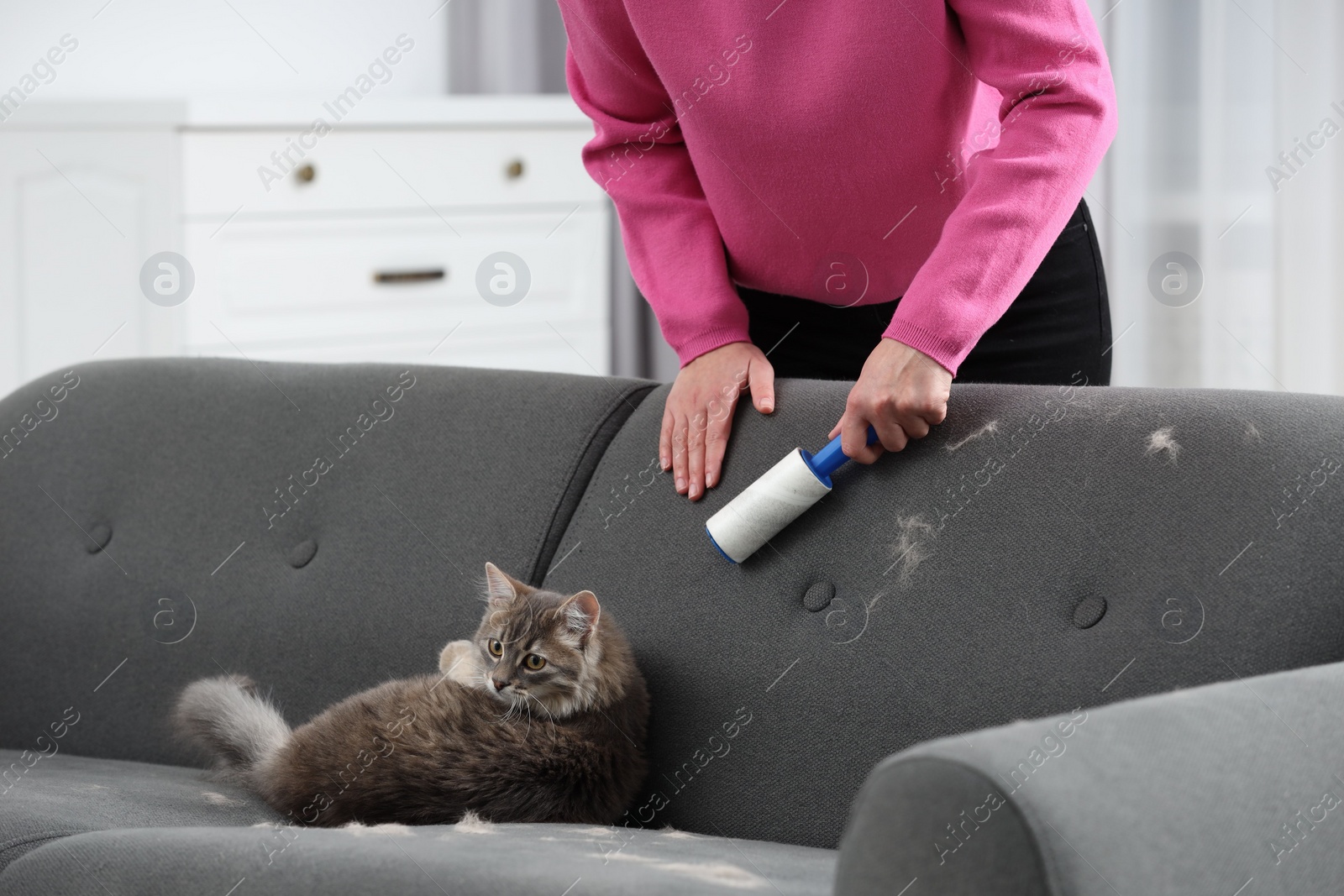 Photo of Pet shedding. Woman with lint roller removing cat`s hair from sofa at home, closeup