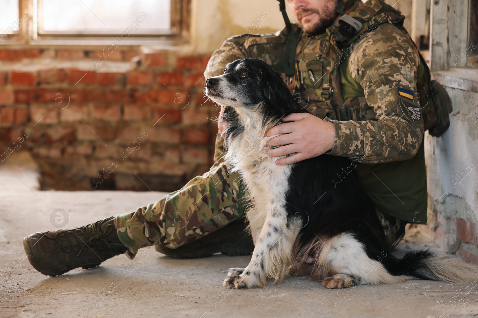 Photo of Ukrainian soldier sitting with stray dog in abandoned building, closeup