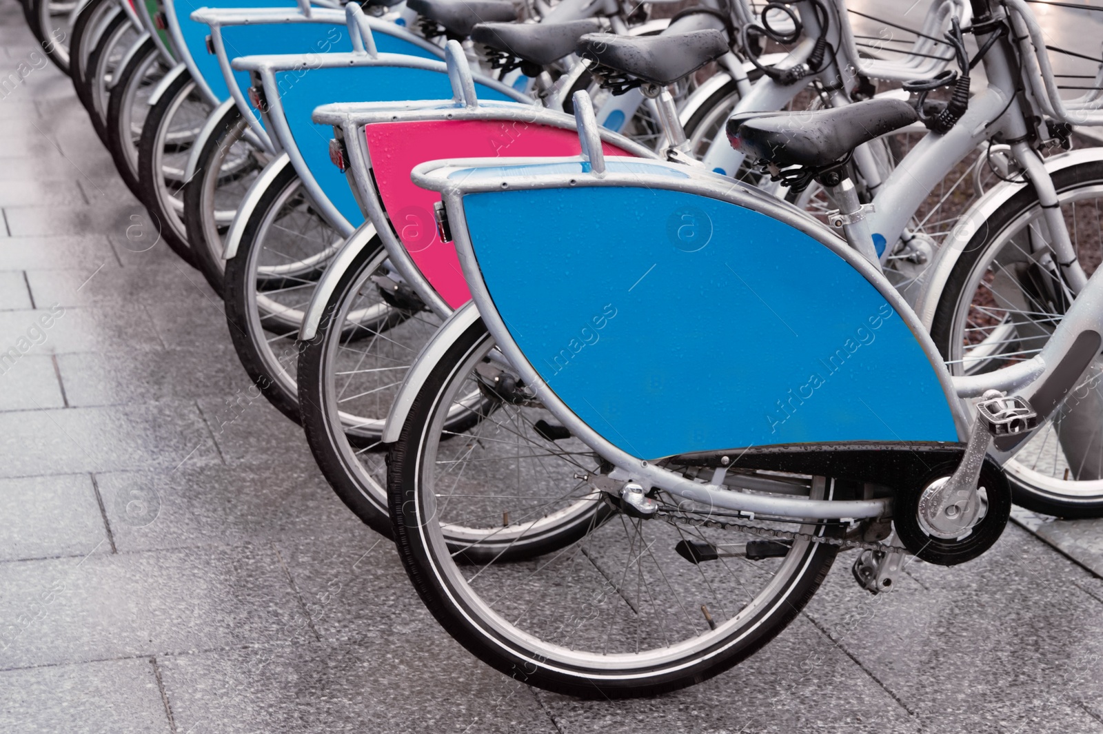 Photo of Many bicycles parked outdoors. Bike rental service