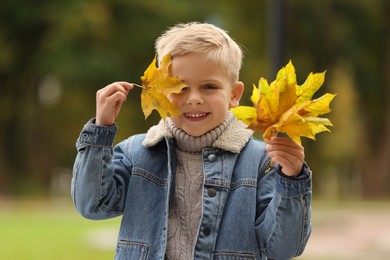 Portrait of happy boy with autumn dry leaves outdoors