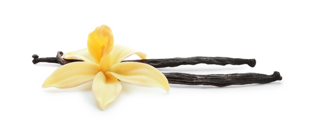 Photo of Aromatic vanilla sticks and flower on white background