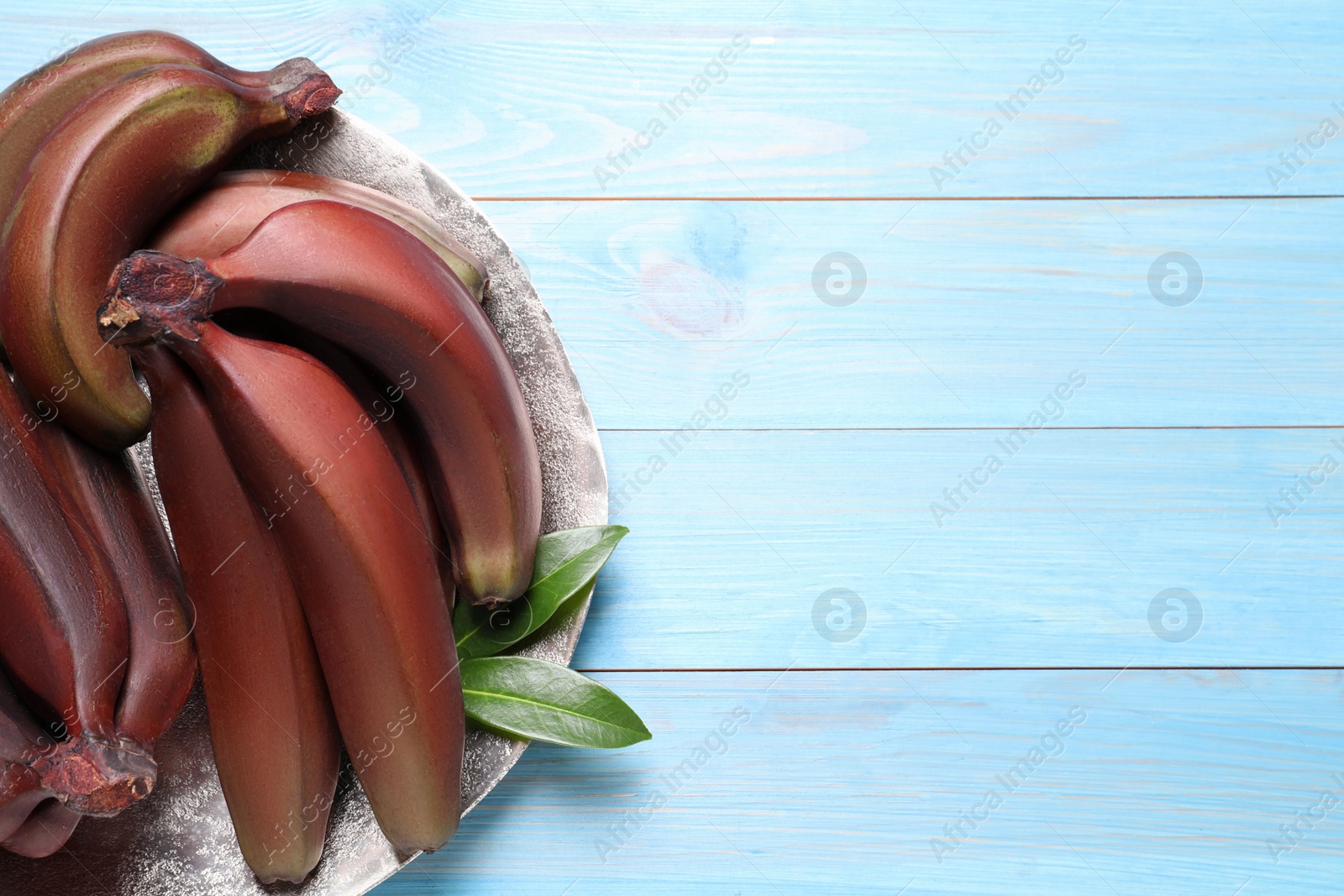 Photo of Tasty red baby bananas on light blue wooden table, top view. Space for text