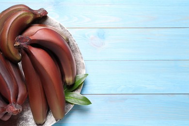 Photo of Tasty red baby bananas on light blue wooden table, top view. Space for text