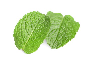 Photo of Fresh mint plant with green leaves isolated on white