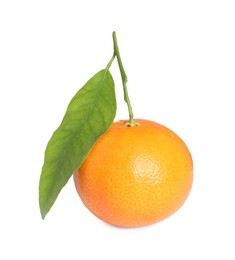 Fresh ripe juicy tangerine with green leaf isolated on white