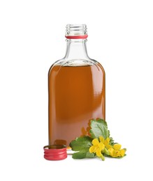 Bottle of celandine tincture and plant on white background