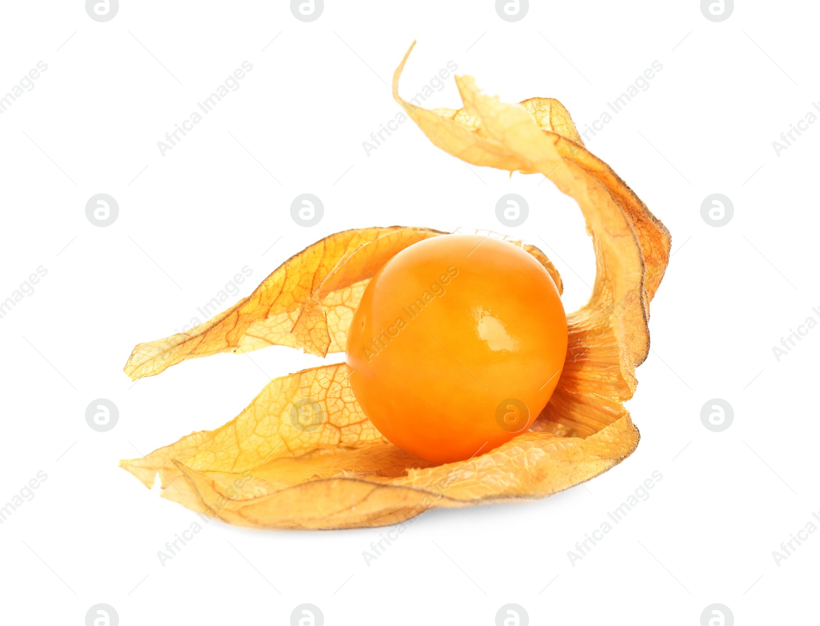 Photo of Ripe physalis fruit with dry husk on white background