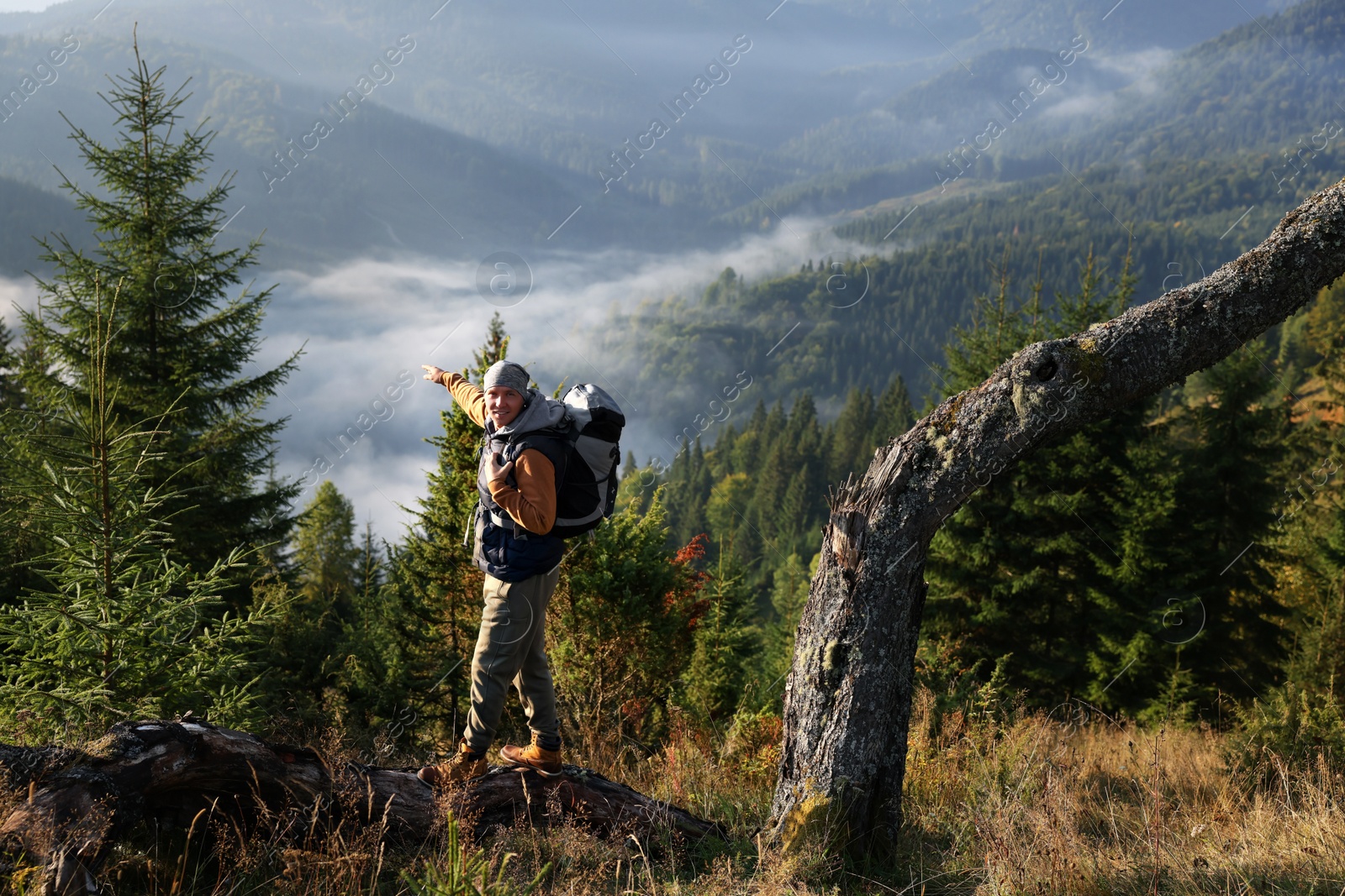 Photo of Tourist with backpack in nature on sunny day