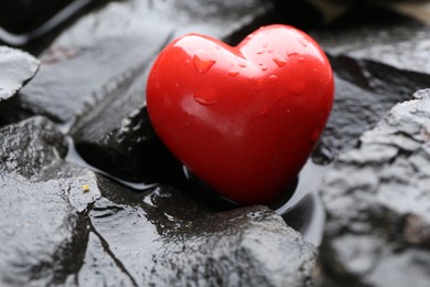 Photo of Red decorative heart on stones and water, closeup