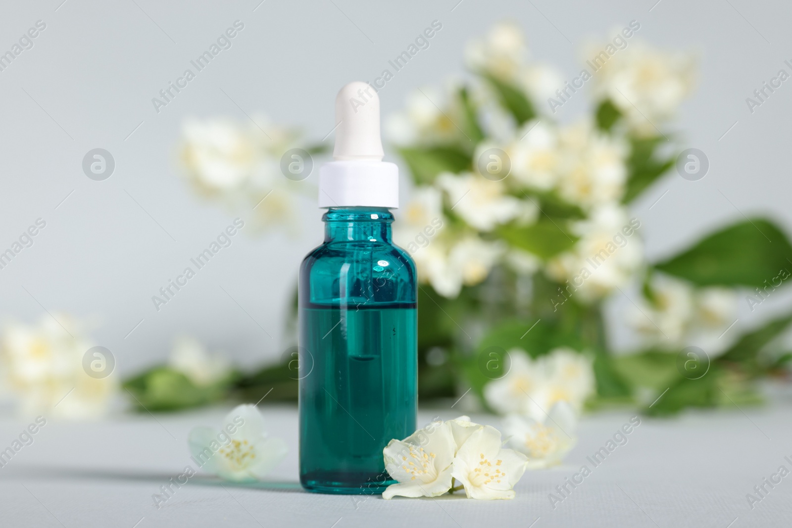 Photo of Essential oil in bottle and beautiful jasmine flowers on grey background, closeup