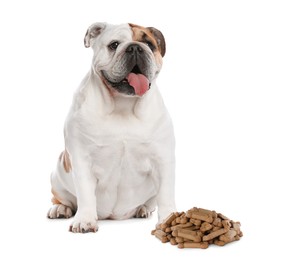 Cute dog and tasty bone shaped cookies on white background