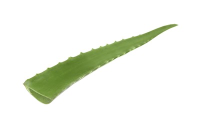 Photo of One aloe vera leaf isolated on white