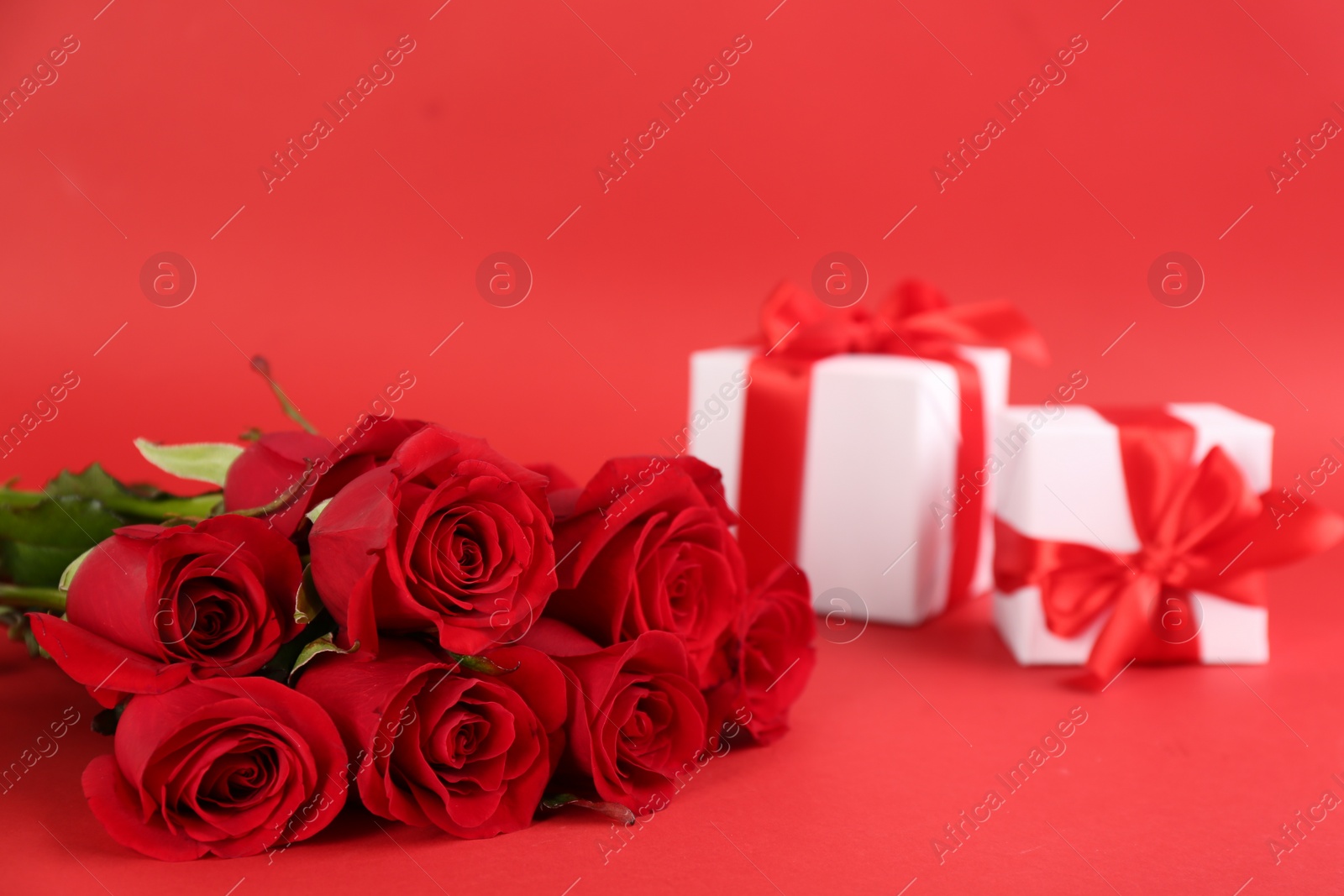 Photo of Beautiful roses and gift boxes on red background, space for text. St. Valentine's day celebration