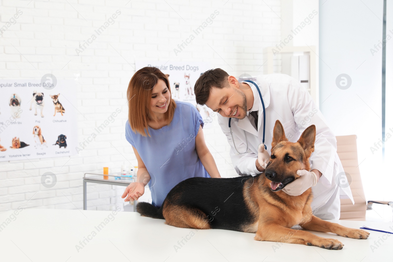 Photo of Woman with her dog visiting veterinarian in clinic