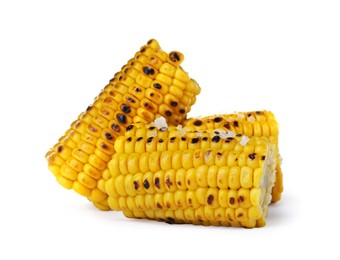 Tasty grilled corn cobs on white background