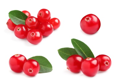 Image of Set of fresh ripe cranberries on white background