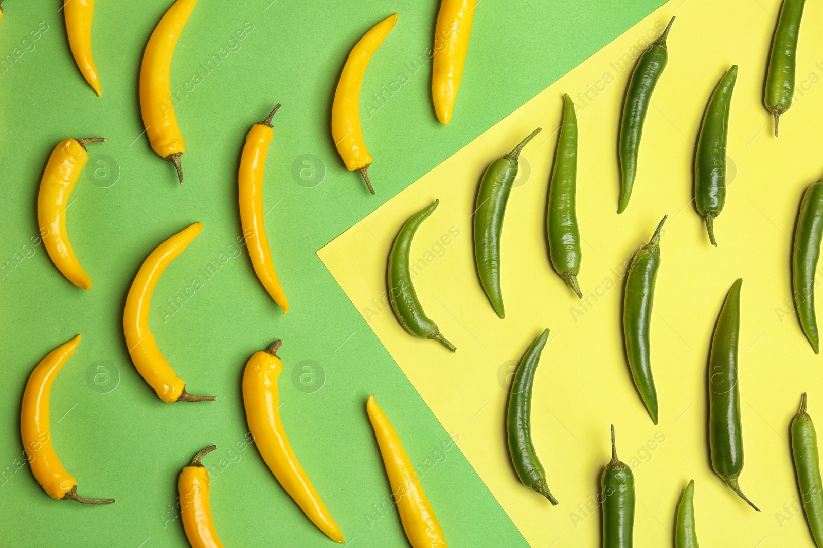 Photo of Flat lay composition with chili peppers on color background