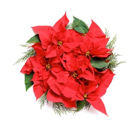 Photo of Flat lay composition with poinsettia on white background. Traditional Christmas flower