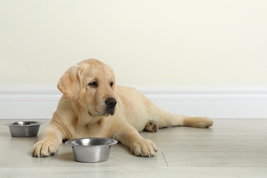 Photo of Cute yellow labrador retriever puppy with feeding bowl on floor indoors. Space for text