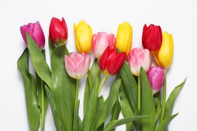 Photo of Beautiful colorful tulips on white background, flat lay