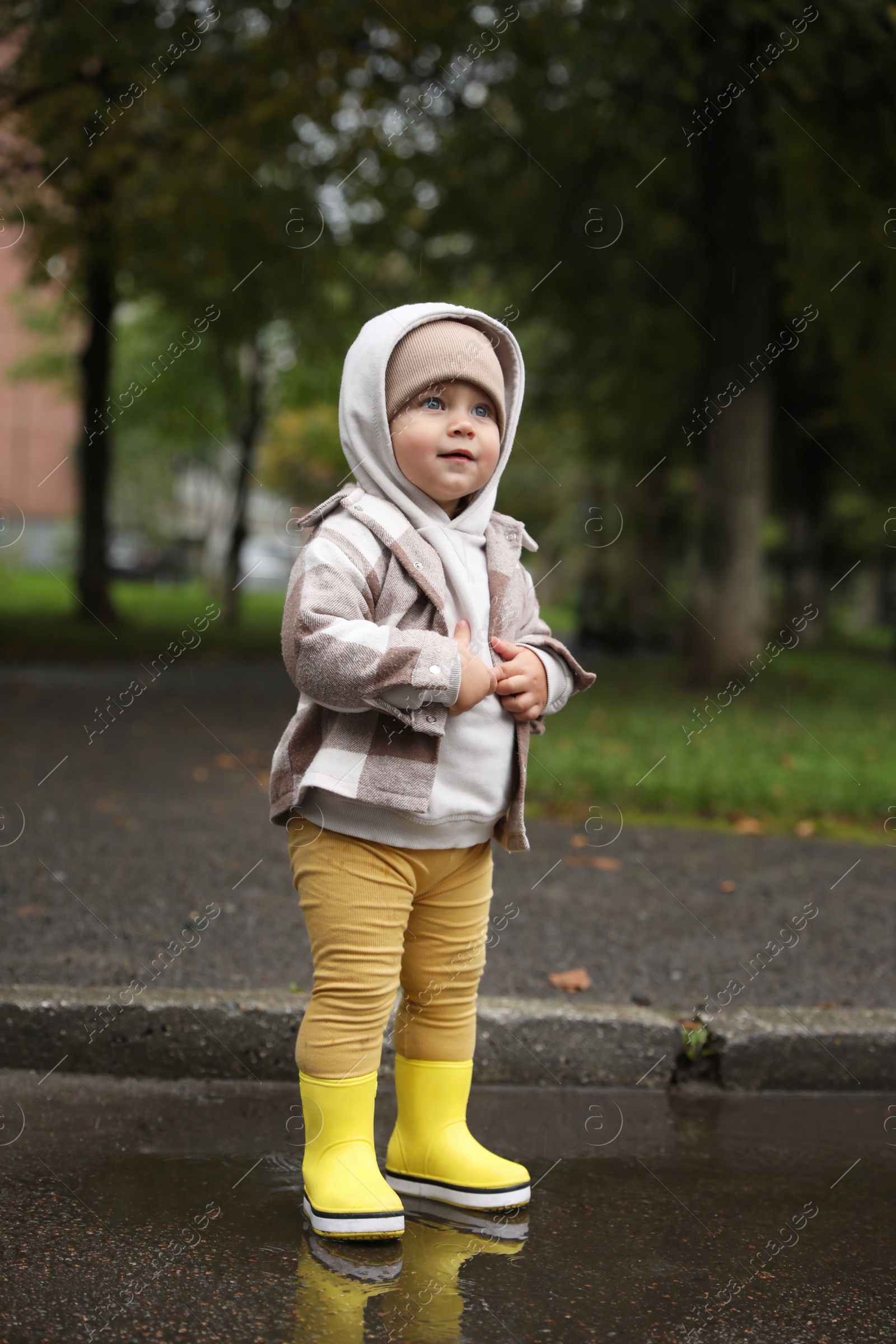 Photo of Cute little girl standing in puddle outdoors