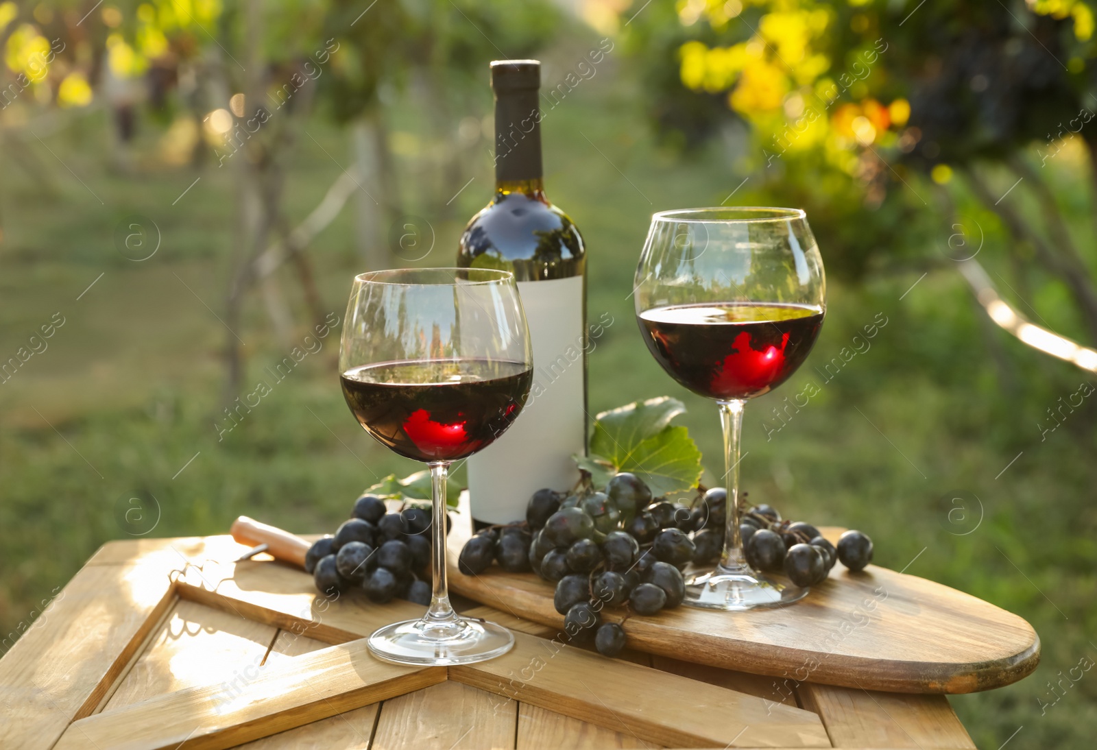 Photo of Composition with wine and ripe grapes on wooden table in vineyard