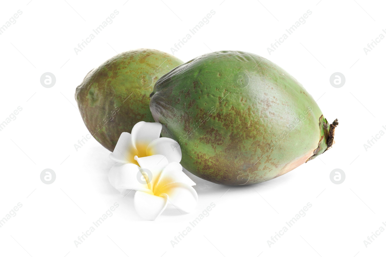 Photo of Fresh green coconuts and flowers on white background