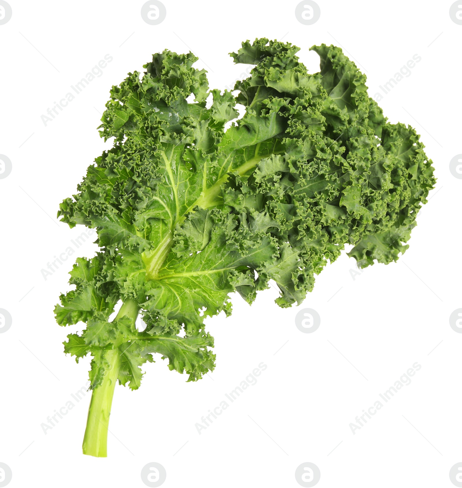 Photo of Fresh green kale leaf isolated on white